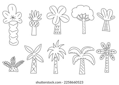 Verschiedene abstrakte Palmen. Niedrige und hohe Bäume. Handgezeichnet im Doodle-Stil, Vektorset.
