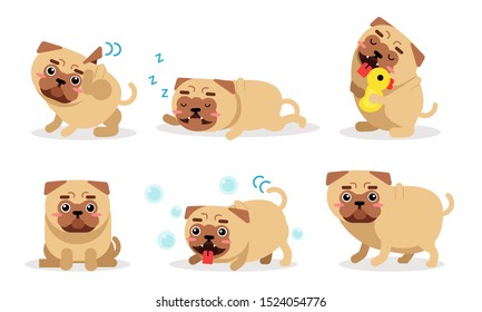 Various Actions Of A Puppy Pug Vector Illustration Set Isolated On White Background