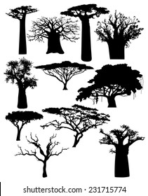 various African trees and bushes svg