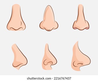 Various angles of a human nose