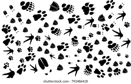 6,417 Forest animal footprints Images, Stock Photos & Vectors ...