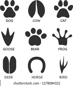 Various animal tracks design icon