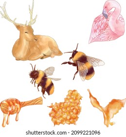 Diversas ilustraciones de color de agua animal - abejas, miel, ciervo y flamenco