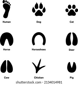 Various animals footprint icon set
