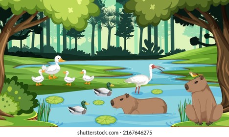 Various animals in the forest illustration