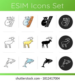 Various animals icons set. Linear, black and RGB color styles. Common forest wildlife and exotic fauna. Cute koala bear, killer whale and majestic deer. Isolated vector illustrations