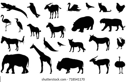 Various animals silhouette