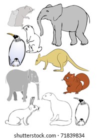 various aninimals - vector