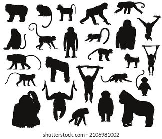 Various Ape and Monkey Silhouettes Vector Illustration