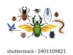 Various arthropod animals set. Different insect species composition. Stag beetle, bumblebee, dragonfly, sacred scarab, giant centipede. Flat isolated hand drawn vector illustration on white background