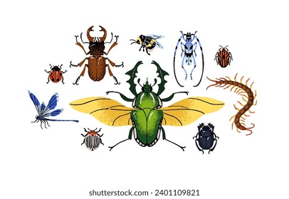 Various arthropod animals set. Different insect species composition. Stag beetle, bumblebee, dragonfly, sacred scarab, giant centipede. Flat isolated hand drawn vector illustration on white background