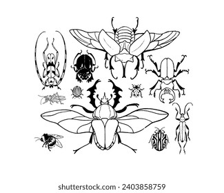 Various arthropod insects. Different bug species composition. Elephant beetle, ladybug, rose chafer, grasshopper. Exotic fauna coloring book. Contour hand drawn isolated vector illustrations on white