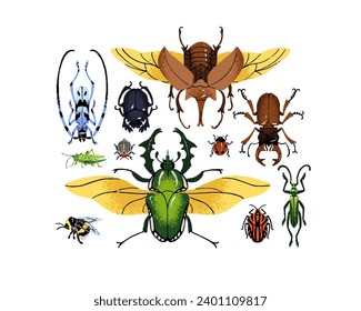 Various arthropod insects set. Different bug species composition. Elephant beetle, bumblebee, ladybug, sacred scarab, grasshopper. Exotic fauna. Flat isolated hand drawn vector illustration on white