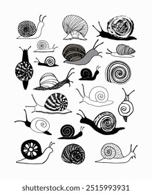 Várias ilustrações artísticas de caracol mostram diversos padrões de conchas, com espirais, listras e desenhos intrincados em monocromático.