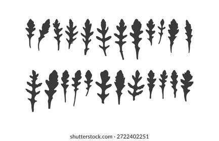 Verschiedene Arugula Blatt Silhouetten, Satz von echten Blättern Drucke, vegetarische Lebensmittel, gesunde Lebensmittel, Microgreens.