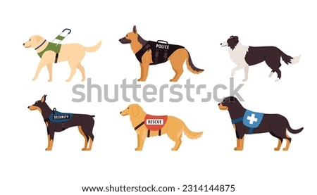 Various assistance and working dogs set, flat vector illustration isolated on white background. Guide dog for blind people, police and security dog and rescue animal.