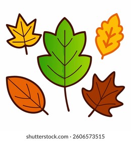 Various autumn leaf Canada cartoon icon 