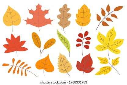 Various autumn leaves cartoon illustration set. Brown, green and yellow maple and oak fall leaves. Dry plants of September and October isolated on white background. Foliage, forest concept