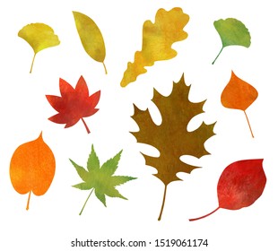 Various autumn leaves icon (watercolor pencil)