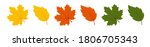 Various autumn leaves on white background. Vector illustration realistic autumn fallen leaves. Leaf in red, yellow, and green colors. Autumn background.