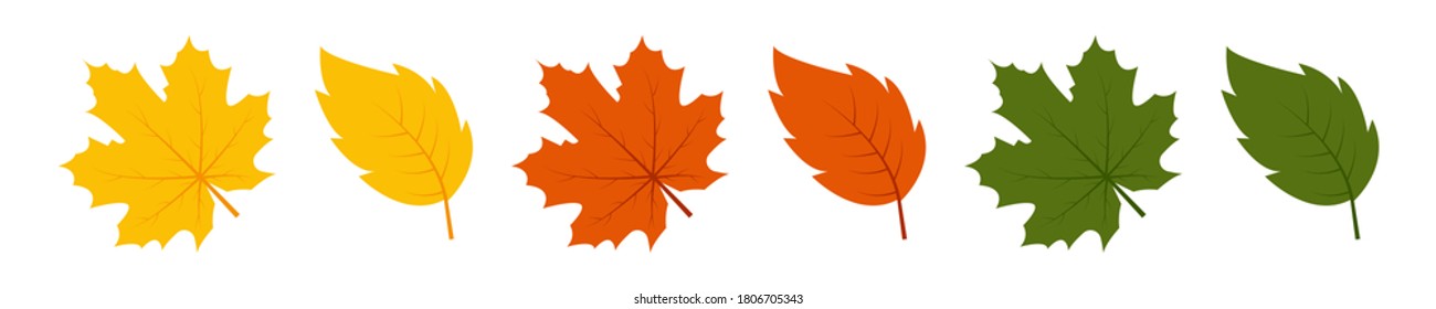 落葉 の画像 写真素材 ベクター画像 Shutterstock