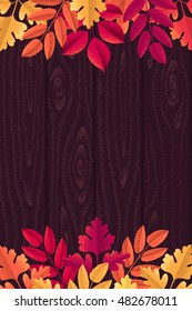 Various autumn leaves with wooden texture vertical template. Maple, oak, mountain ash, rowan, hawthorn. Design for poster, invitation, card, banner, flyer. Place for your text