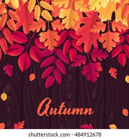 Various autumn leaves with wooden texture template. Maple, oak, mountain ash, rowan, hawthorn. Design for poster, invitation, card, banner, flyer. Place for your text
