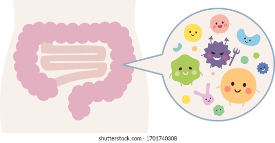 Diversas bacterias en el intestino