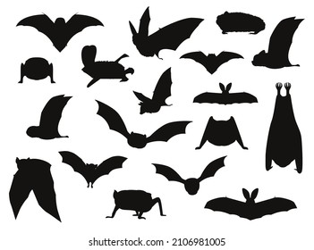 Vektorgrafik verschiedener Bat-Silhouetten