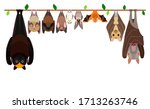 various bats hanging upside down in a row