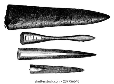Various beaks of Jurassic belemnites, vintage engraved illustration. Earth before man  1886.