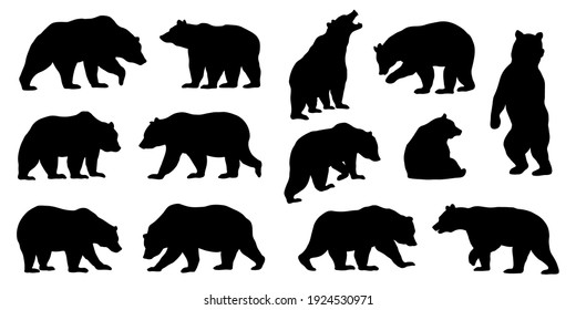 различные силуэты медведя на белом фоне