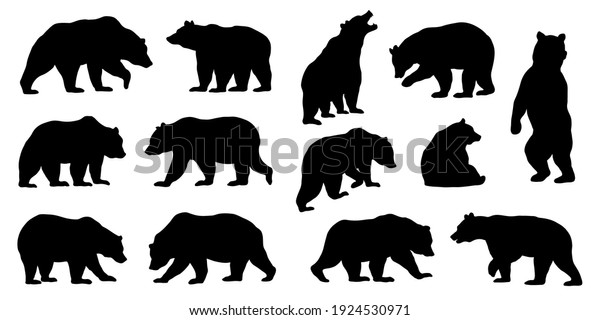 1,256,998 Bear Images, Stock Photos & Vectors | Shutterstock