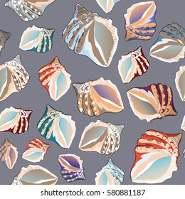 Various beautiful colorful seashells. Seamless pattern. Vector illustration on grey background