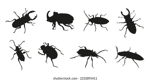 various beetle silhouettes on the white background volume 1