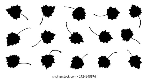 various bigtooth aspen leaf silhouettes on the white background