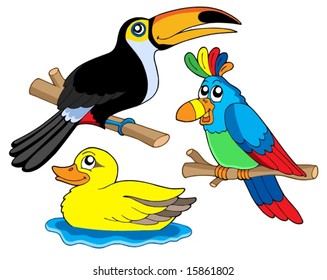 Various bird collection 01 - vector illustration.