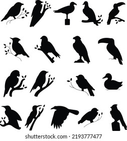  Various bird different poses Flat vector Silhouettes