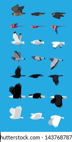 Various Bird Flying Sequence Cute Cartoon Vector Illustration