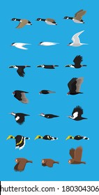 Various Bird Flying Sequence Cute Cartoon Vector Illustration Set 2