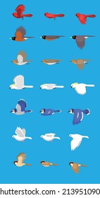 Various Bird Flying Sequence Cute Cartoon Vector Illustration Set 3