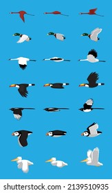 Various Bird Flying Sequence Cute Cartoon Vector Illustration Set 2