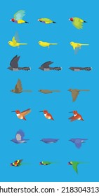 Various Bird Flying Sequence Cute Cartoon Vector Illustration Finch Canary Cuckoo Nightingale Hummingbird Bluebird Parrot
