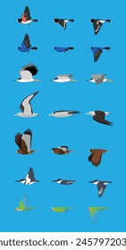 Various Bird Flying Sequence Cute Cartoon Vector Illustration Grosbeak Bunting Heron Albatross Hawk Kingfisher Parrot