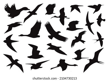 Various Bird Flying Silhouettes Character Cartoon Vector Illustration