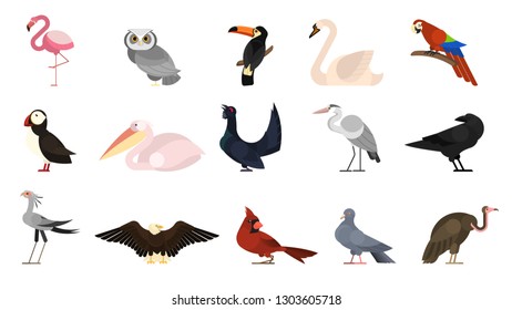 Various bird set. Collection of wild birds. Toucan and parrot, flamingo and pelican. Creatures with bright feather.