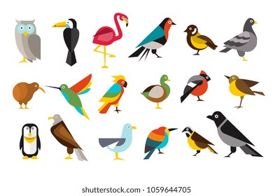 Various bird set colorful vector illustrations