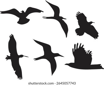 Various bird silhouettes depict a range of species soaring gracefully across the sky.