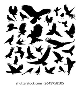 various bird silhouettes vector illustration