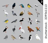 Various Birds Cartoon Vector Illustration 2